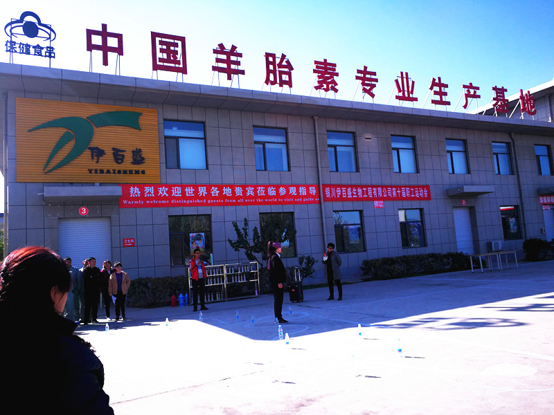 銀川伊百盛生物工程有限公司 銀川伊百盛生物工程有限公司