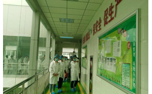 值公司成立十周年慶典，公司贊助萬名老人免費(fèi)游寧夏系列活動
