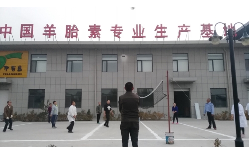 排球傳溫情，員工齊聚心